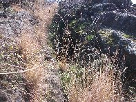 otta Forcato20110213 038